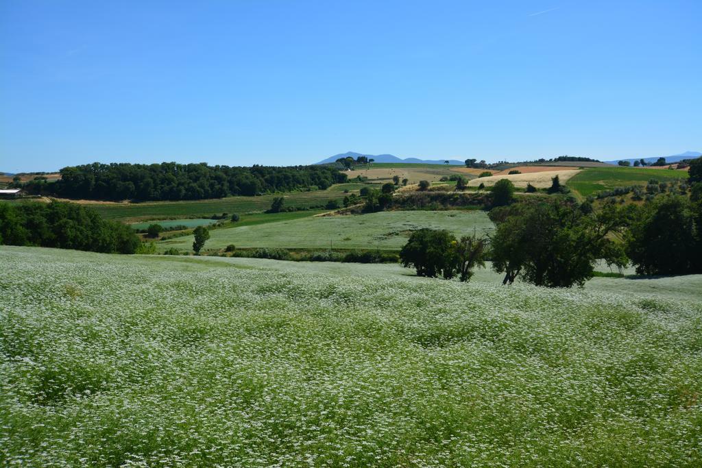 Agriturismo Dolce Verde Castiglione del Lago Luaran gambar