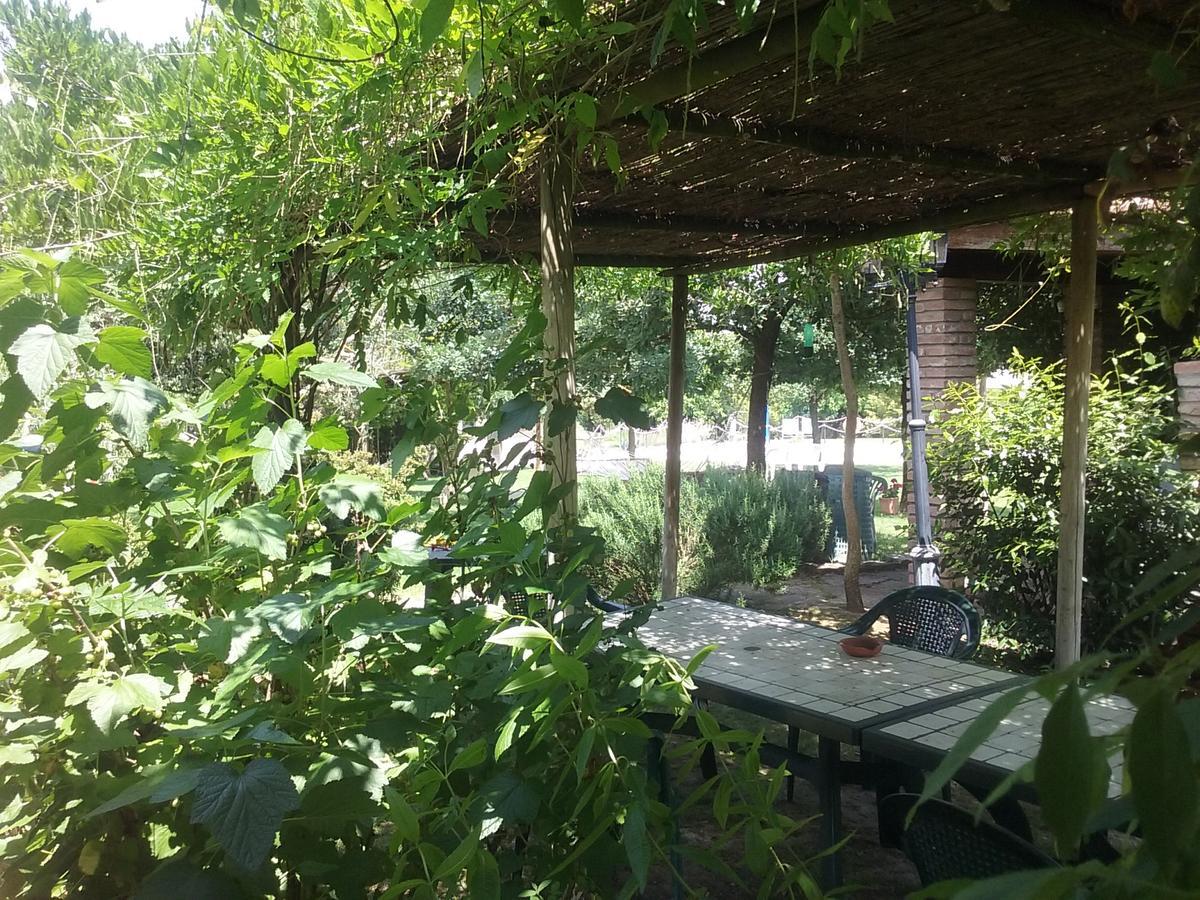 Agriturismo Dolce Verde Castiglione del Lago Luaran gambar