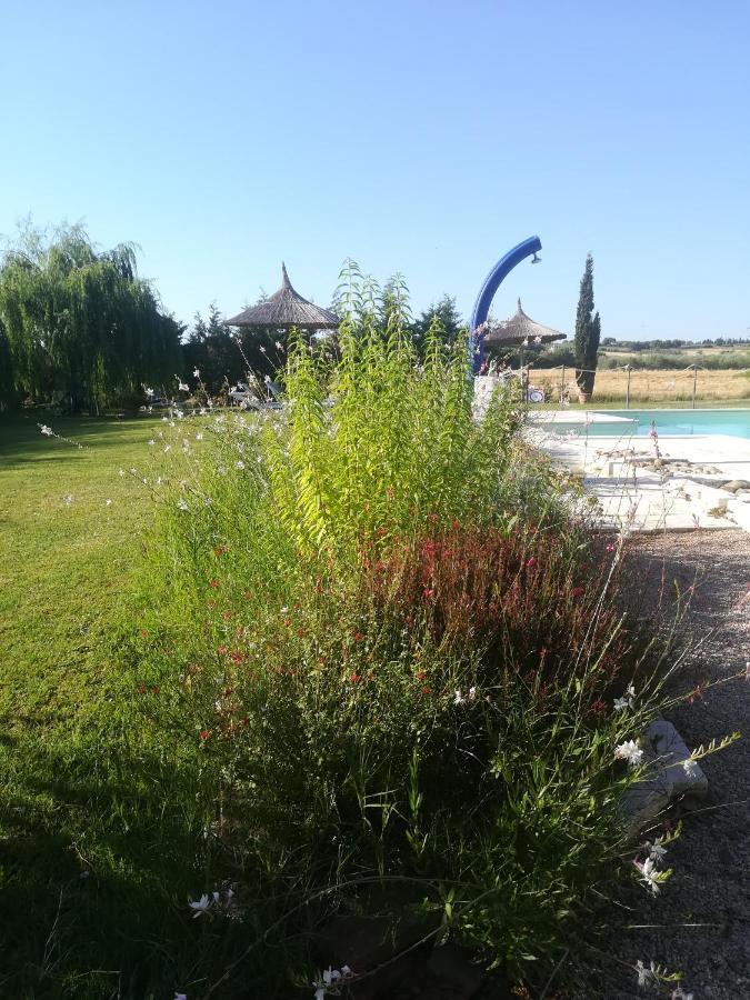 Agriturismo Dolce Verde Castiglione del Lago Luaran gambar